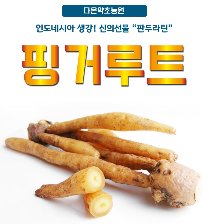 신비감 프리미엄 골드 가격 김오공 중년 다이어트 비움애 추천
