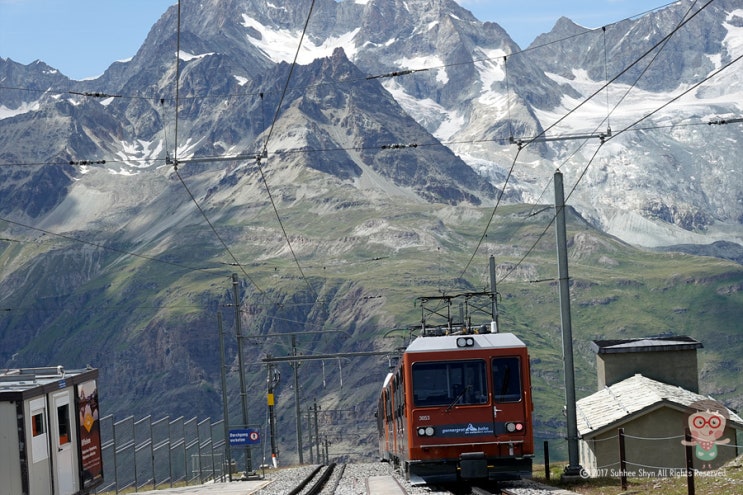 스위스 여행 중. 체르마트에서 마테호른을 보며 걷는 길