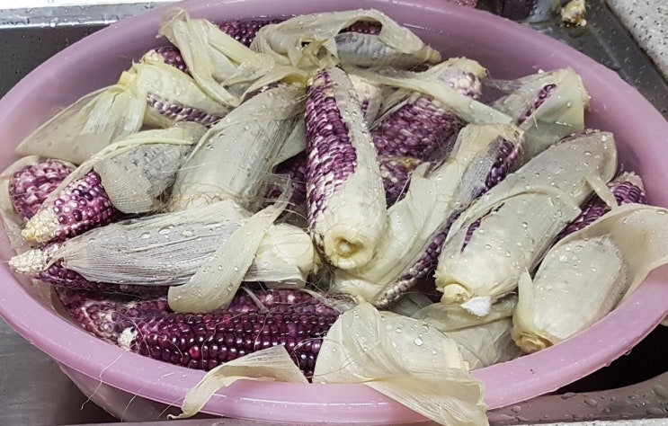  나쁜 탄수화물 줄여주는 옥수수, 옥수수수염도 효능이 좋네요