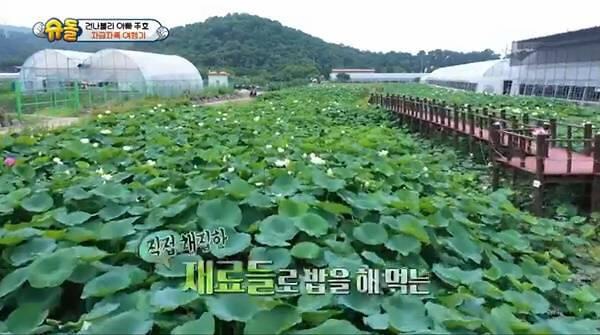  천생연분마을 화제 어디길래?