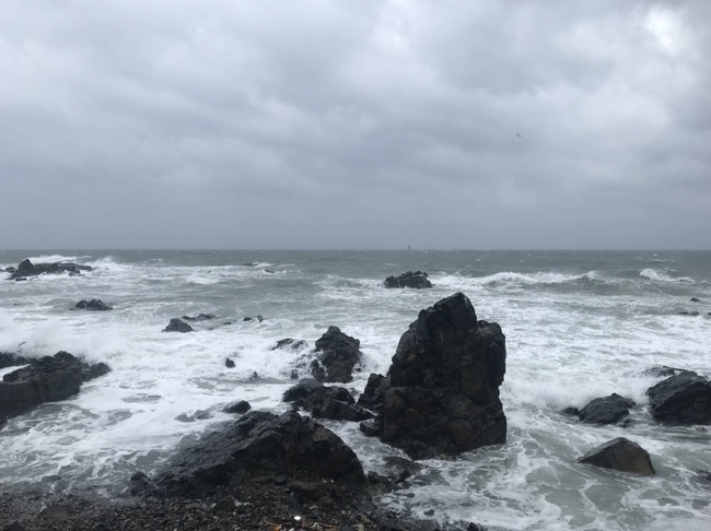  또 다시 일상