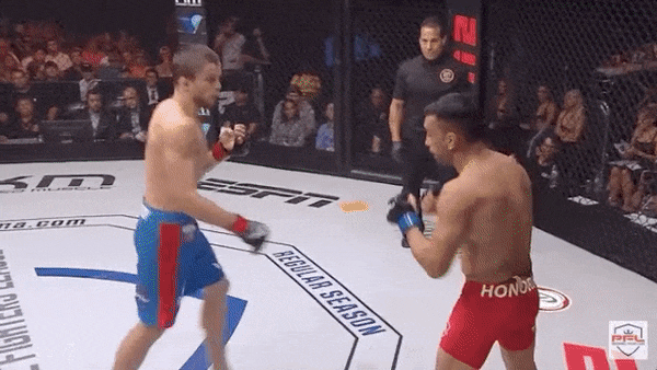 UFC 캣 진가노 방출, 하빕 사촌들 UFC 진출? 등 단신 UFC 캣 진가노 방출, 하빕 사촌들 UFC 진출? 등 단신