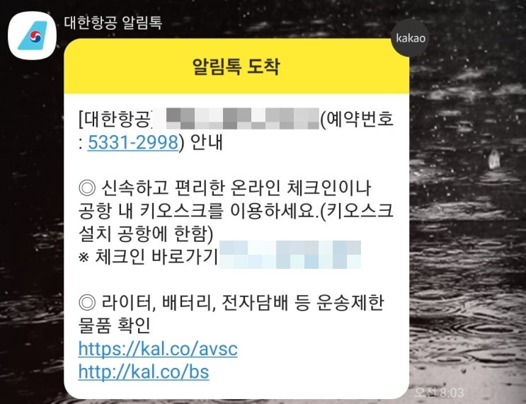  대한항공 온라인 체크인을 하면 실물 티켓은 필요 없는가?
