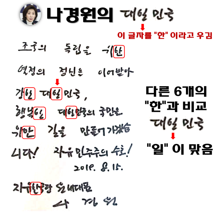   나경원의 대일민국
