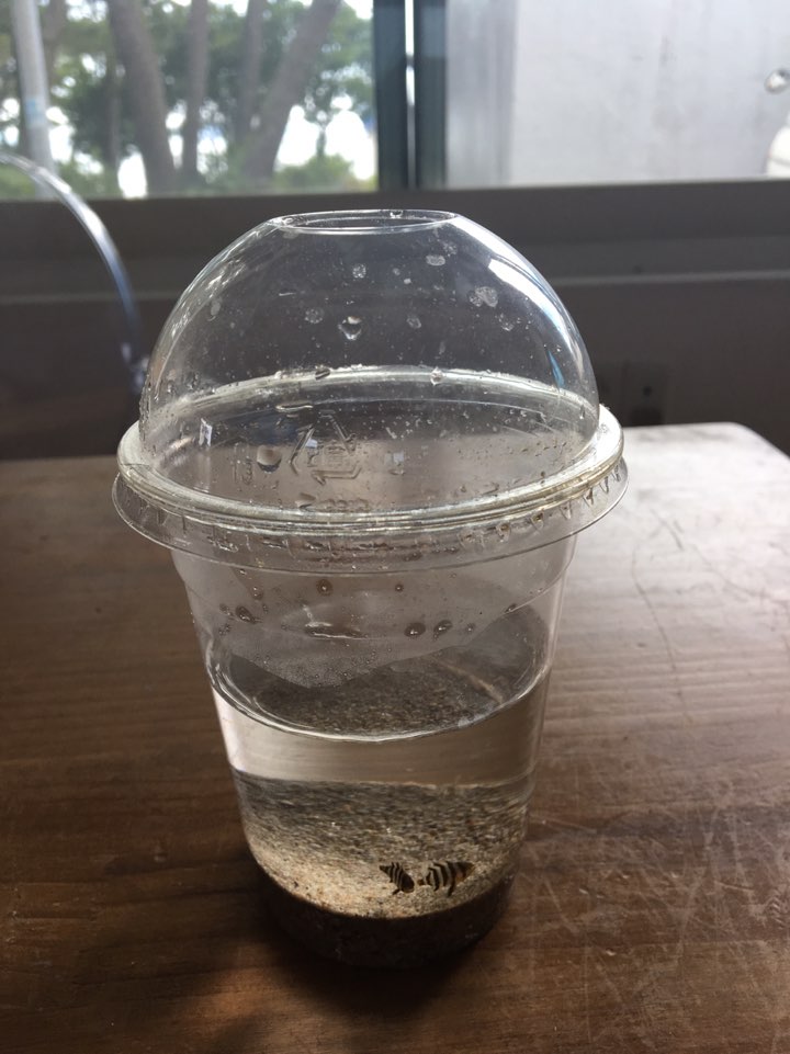  낭만