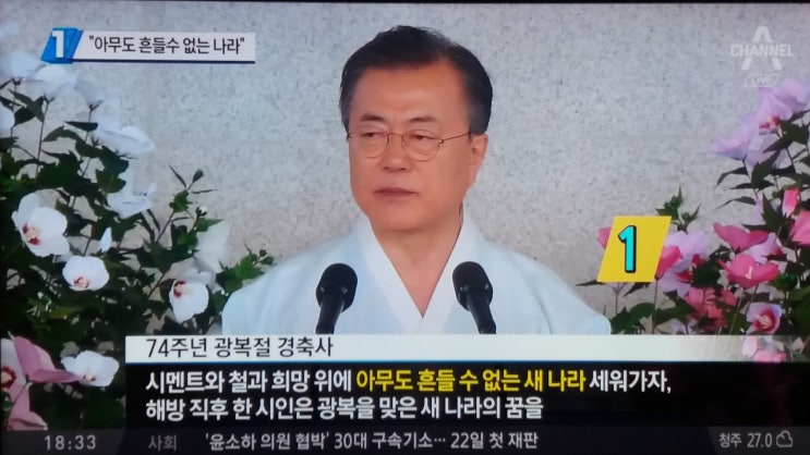  '하얀 남자' 문재인대통령의 제 74주년 광복절 경축사