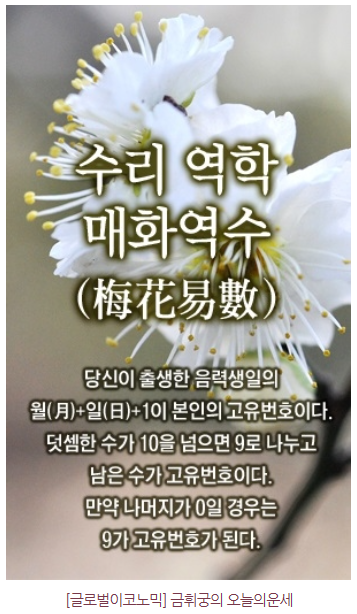 [수리 오늘의운세] 8월 16일 금요일 영화배우 탤런트 ‘박보영’ 운세＆나의 연애운 사업운 궁합 신점풀이
