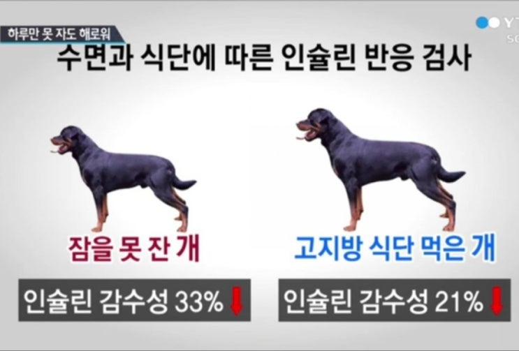 비만, 당뇨와 수면과의 관계