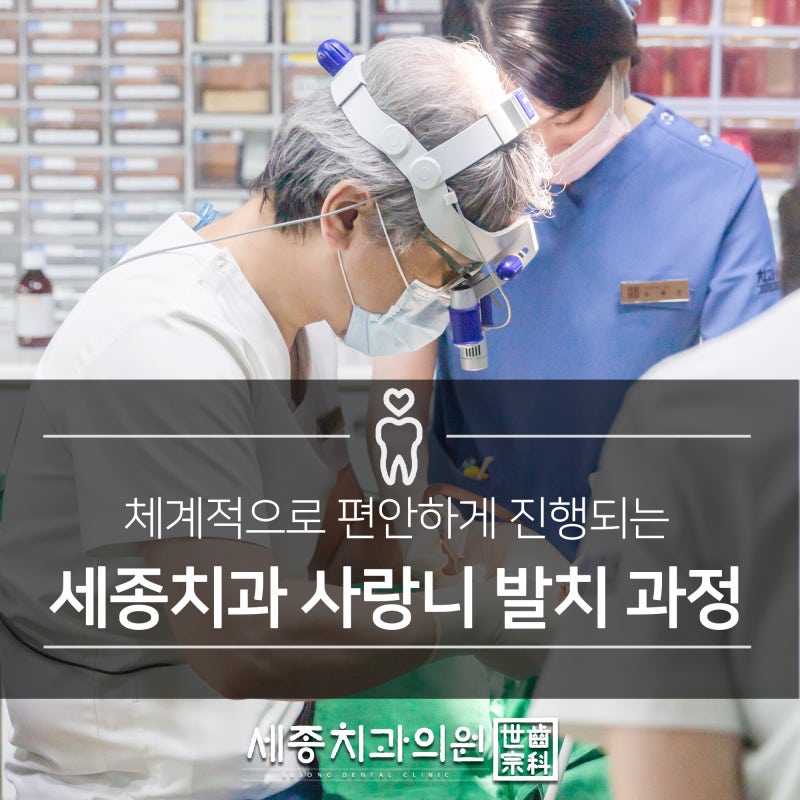 부산사랑니치과 세종치과의 안전하고 체계적인 사랑니 발치 1