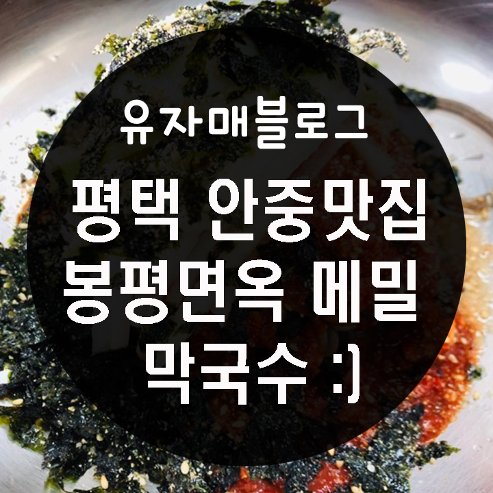  평택맛집 : 안중 메밀막국수가 맛있는 봉평면옥추천
