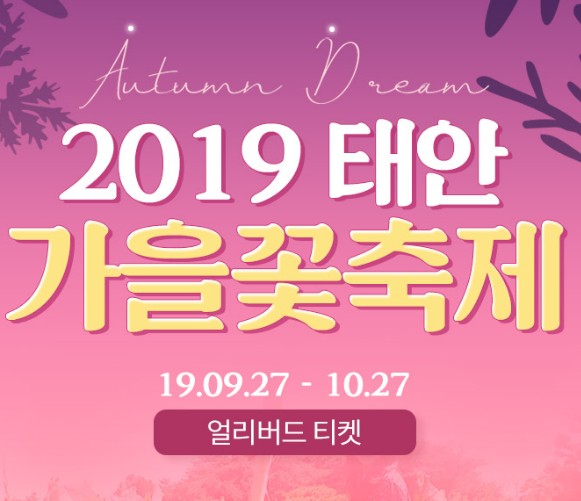 태안국화꽃축제, 2019년 태안가을꽃축제 가을 누리기 태안국화꽃축제, 2019년 태안가을꽃축제 가을 누리기