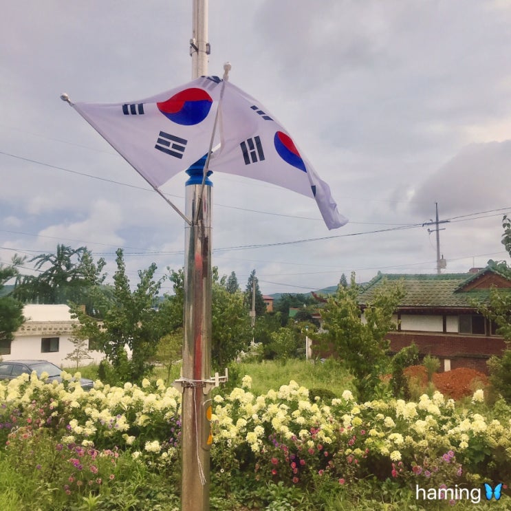 20190812-0815 꽃, 먹은것들, 좋아하는것, 그림, 광복절, 친구