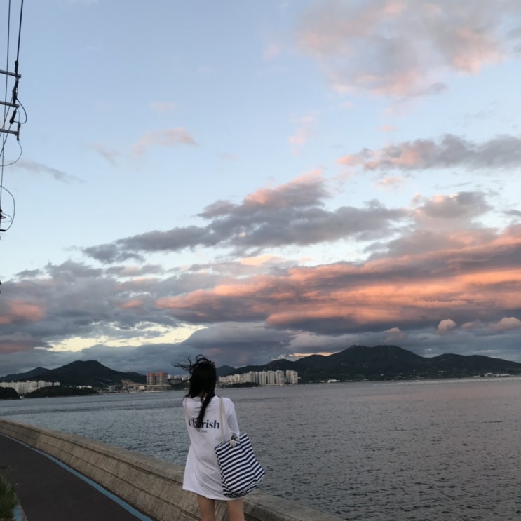  디오션