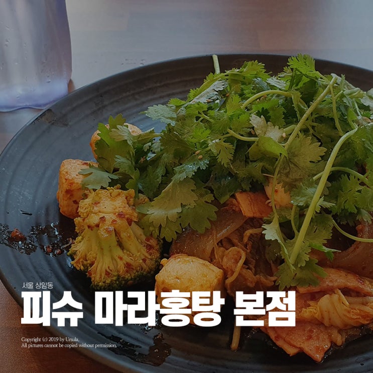  내 생애 먹어본 최고 맛있는 마라샹궈 순위 2위, 상암 피슈마라홍탕