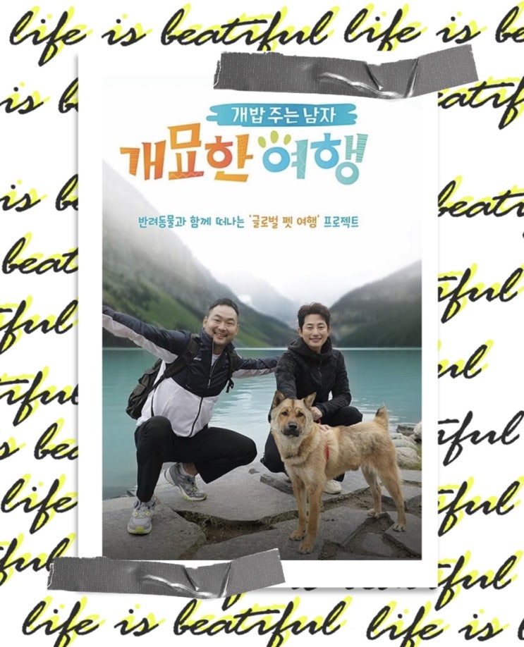  채널A <개밥 주는 남자 - 개묘한 여행> 신규 예능 프로그램 8월 16일 첫 방 ~