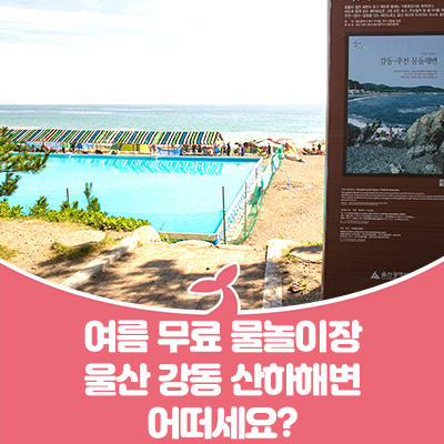  여름 무료 물놀이장 울산 강동 산하해변 어떠세요?