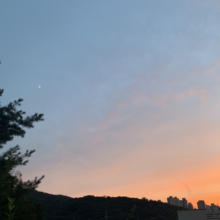  벌써 8월 중순이구나!