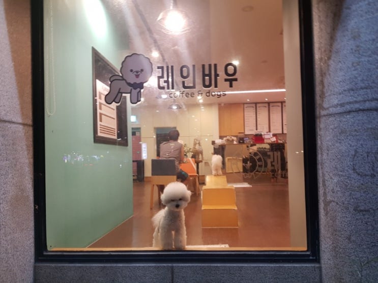  서울애견카페 레인바우 강동점