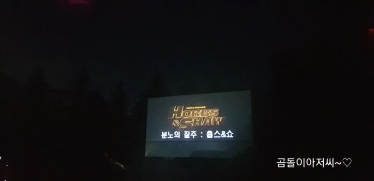  분노의질주 홉스앤쇼 용인자동차극장에서
