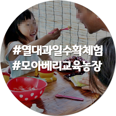  연천모아베리교육농장 열대과일수확체험, 백향과로 아이스크림과 청만들기