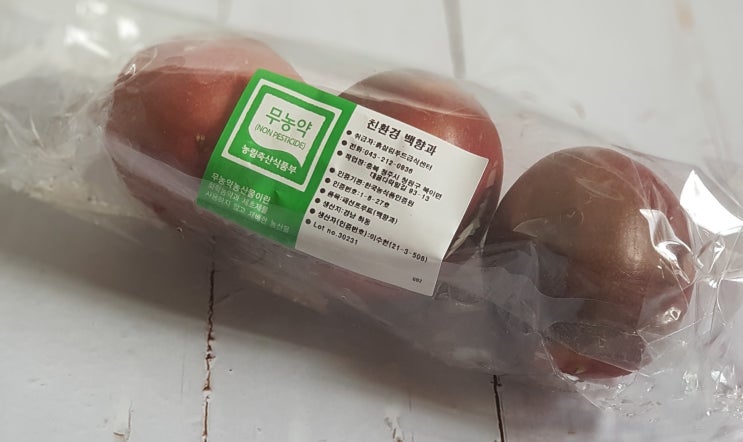  친환경 백향과