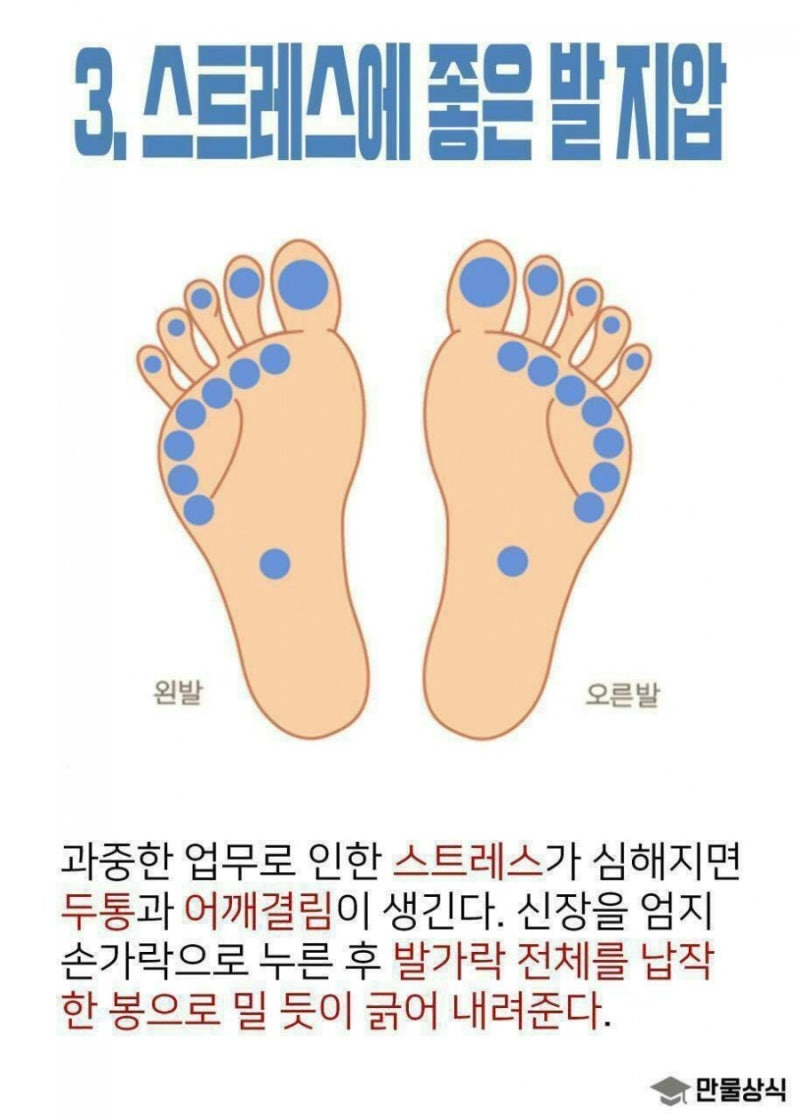 건강에 좋은 발지압 : 네이버 블로그