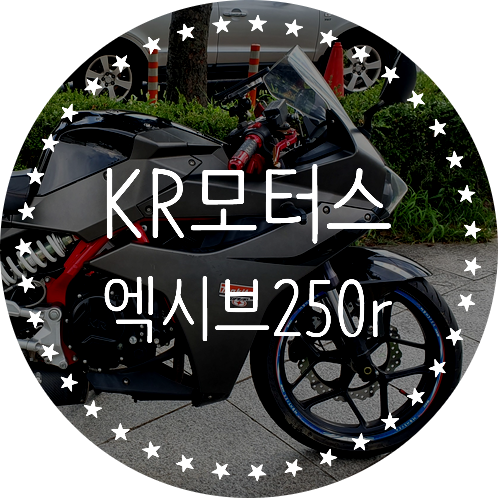 KR모터스 엑시브250r 직접 10개월간 타본 후기/분석