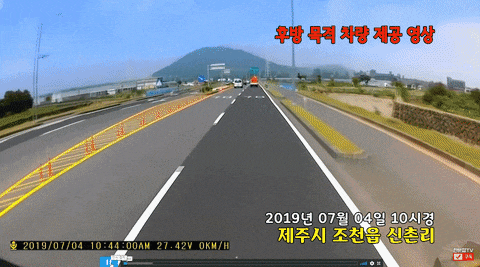  제주도카니발폭행 사회가 무법천지다..