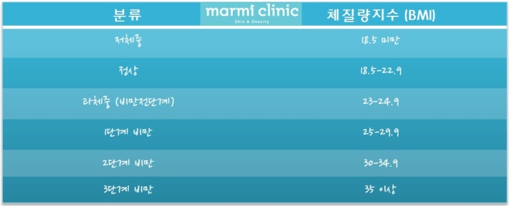  나는 뚱뚱한 걸까? (체질량지수, BMI지수, BMI 해석)