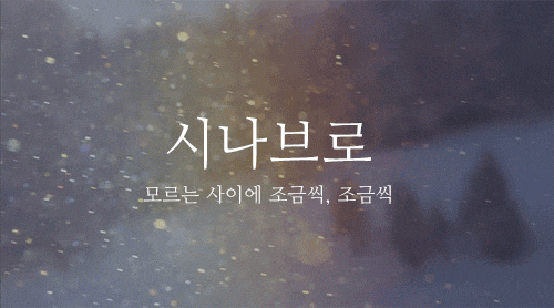  제주도 카니발 폭행 영상