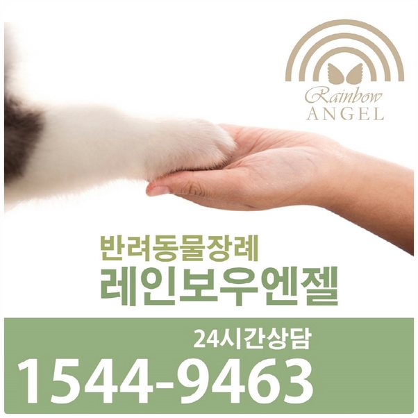  수원강아지장례, 합리적인 선택 방법!