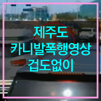  제주도 카니발폭행 영상을 보며! 겁도없이 구속시켜야!