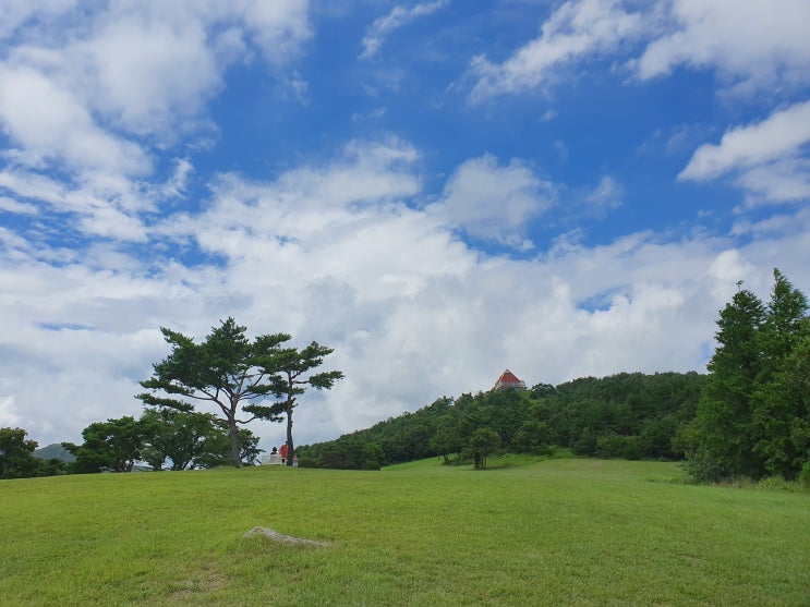  경주화랑의언덕 명상바위 캠핑클럽촬영지