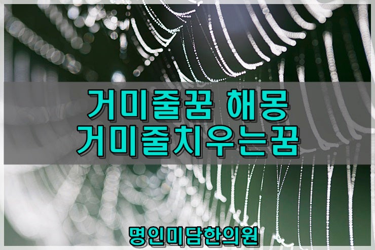 거미줄꿈해몽 거미줄치우는꿈