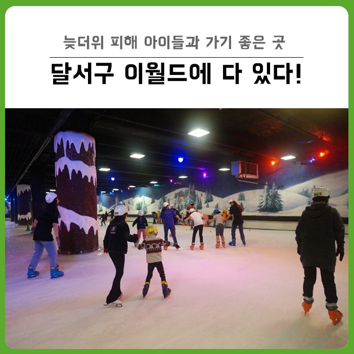  달서구 주말 나들이 가기 좋은 곳 : 자녀들과 늦여름나기 - 이월드 아이스링크장, 아쿠아빌리지에서 더위도 피하고, 신나게 놀자!
