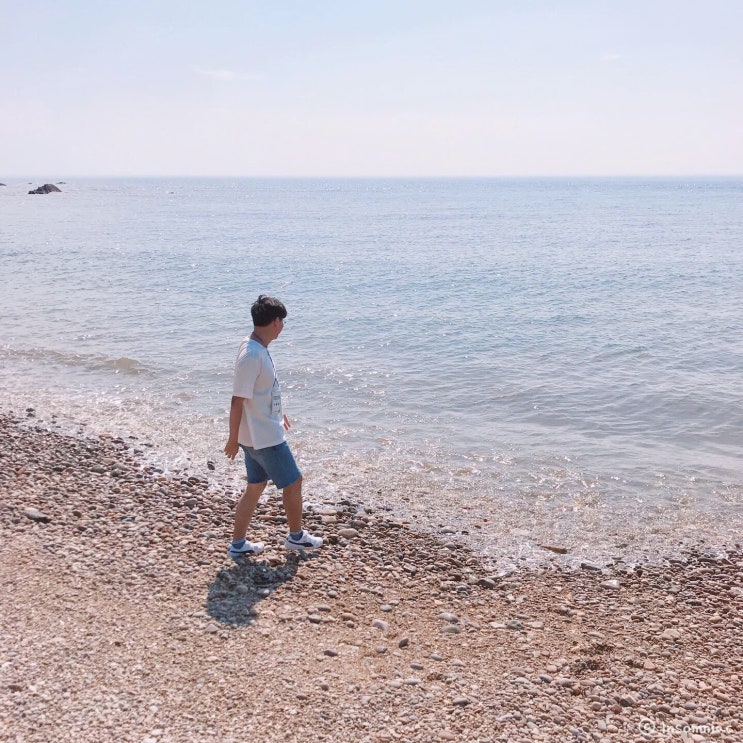  [일상] 2019년 8월 상반기。