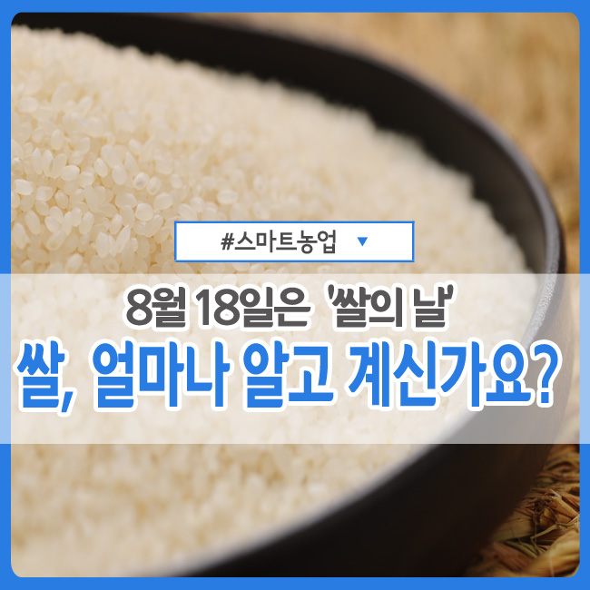   쌀, 얼마나 알고 계시나요!? 