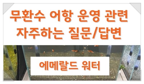  무환수 어항 운영 관련 자주하는 질문/답변