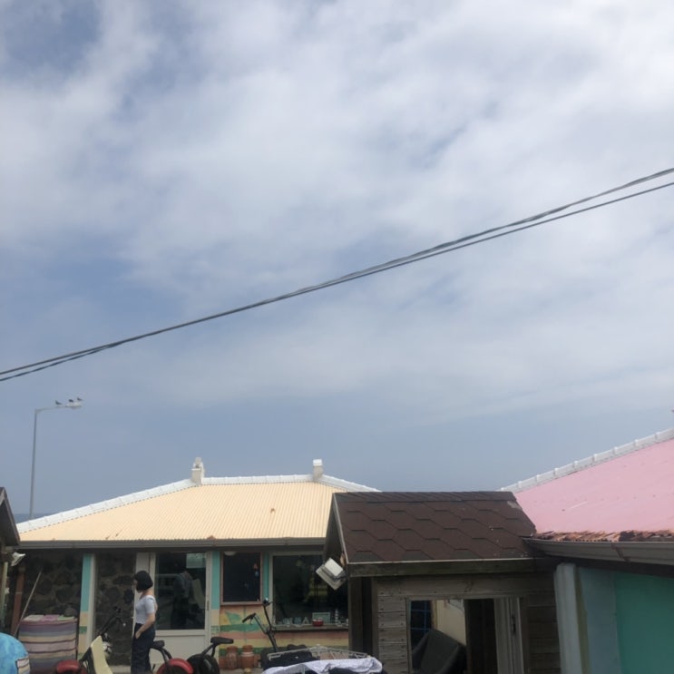  2019년 8월 14일 엊그제 일상 ƪ(˘˘)ʃ / 제주도 세번째 하루