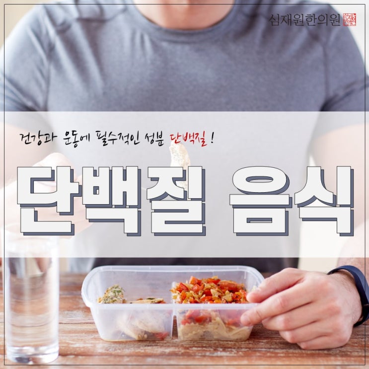  단백질음식 Best7가지 먹고 단백질보충 하세요!