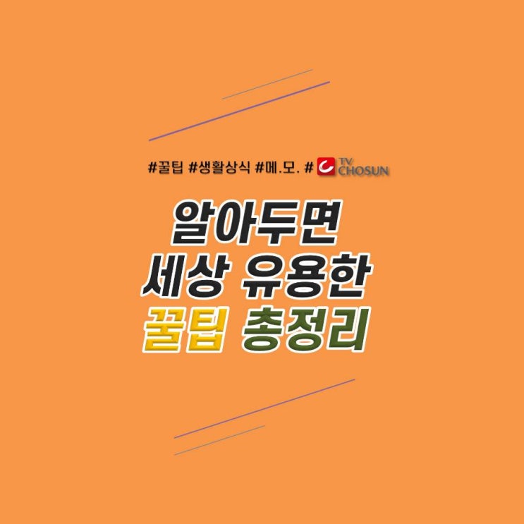  [TV CHOSUN 장군 #10] TV CHOSUN 프로그램들 속 소소한 꿀팁을 모아모아!