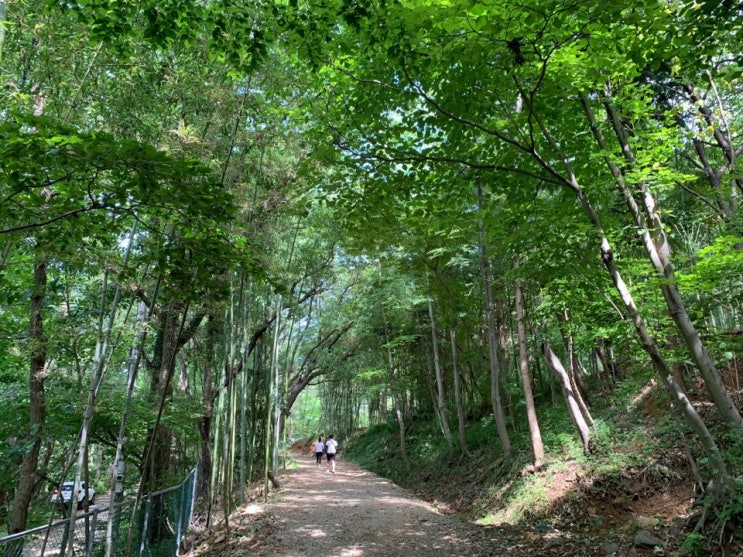  부산 기장 아홉산 숲 데이트 코스 ~기장 가볼만한곳!
