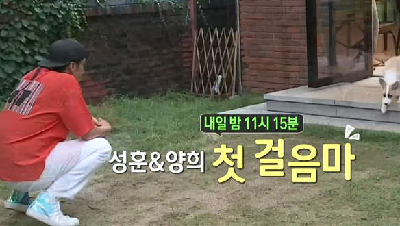  <나혼자 산다> 기안84의 운수좋은 날, 성훈과 반려견의 하루