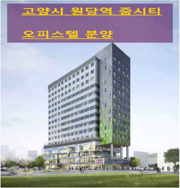  고양시 원당역 줌시티 오피스텔 복층형 오피스텔 상가 도시형 생활주택 분양