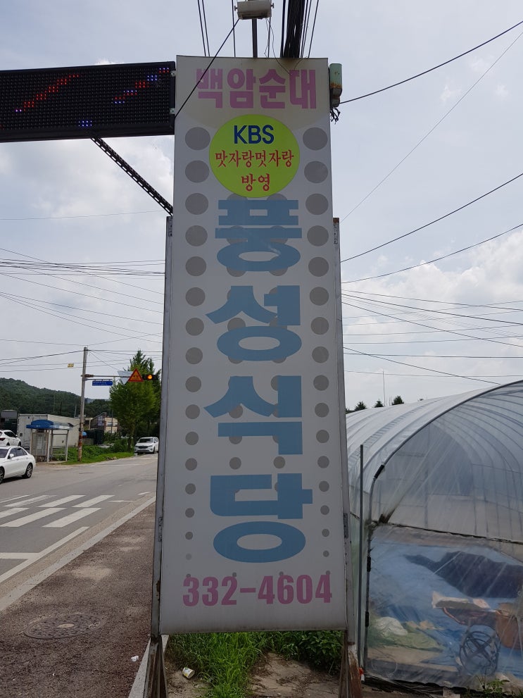  고향에서 만난 순대국 맛집