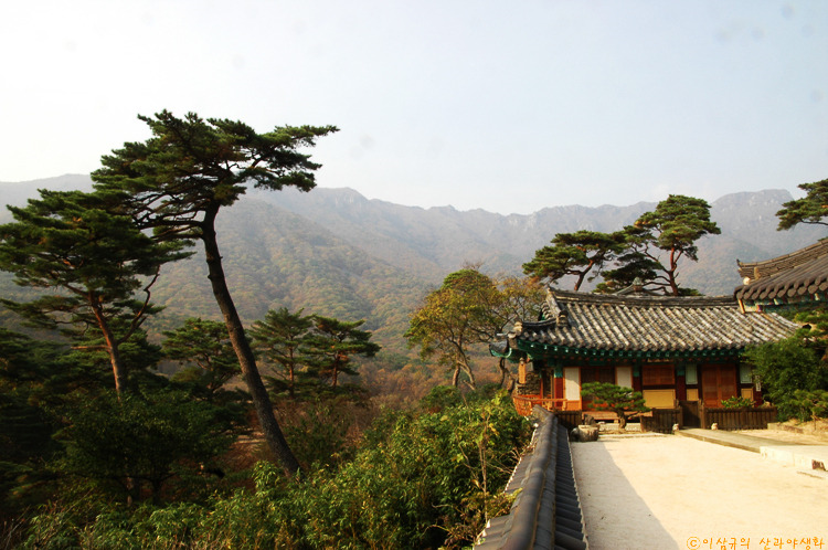 양산 통도사의 산내 암자 Ⅱ -④ 자장암 -⑤ 수도암 -⑥ 안양암 通度寺 山內 庵子 慈藏庵 - 修道庵 - 安養庵 : 네이버 블로그