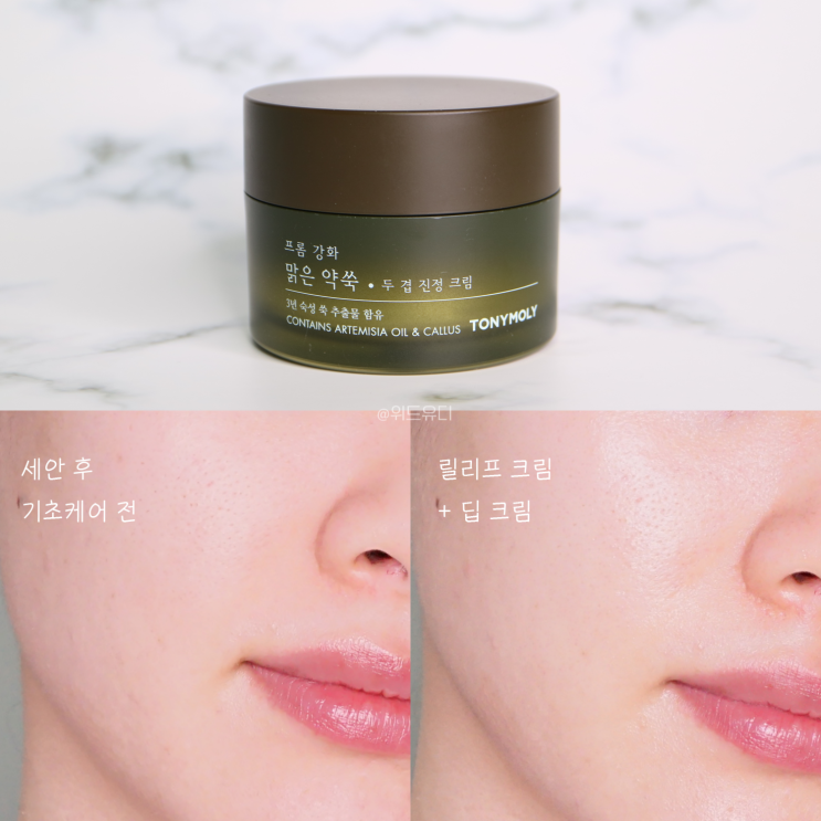  토니모리 프롬강화 약쑥 두겹 진정크림으로 들쑥날쑥 내 피부 보습 진정케어