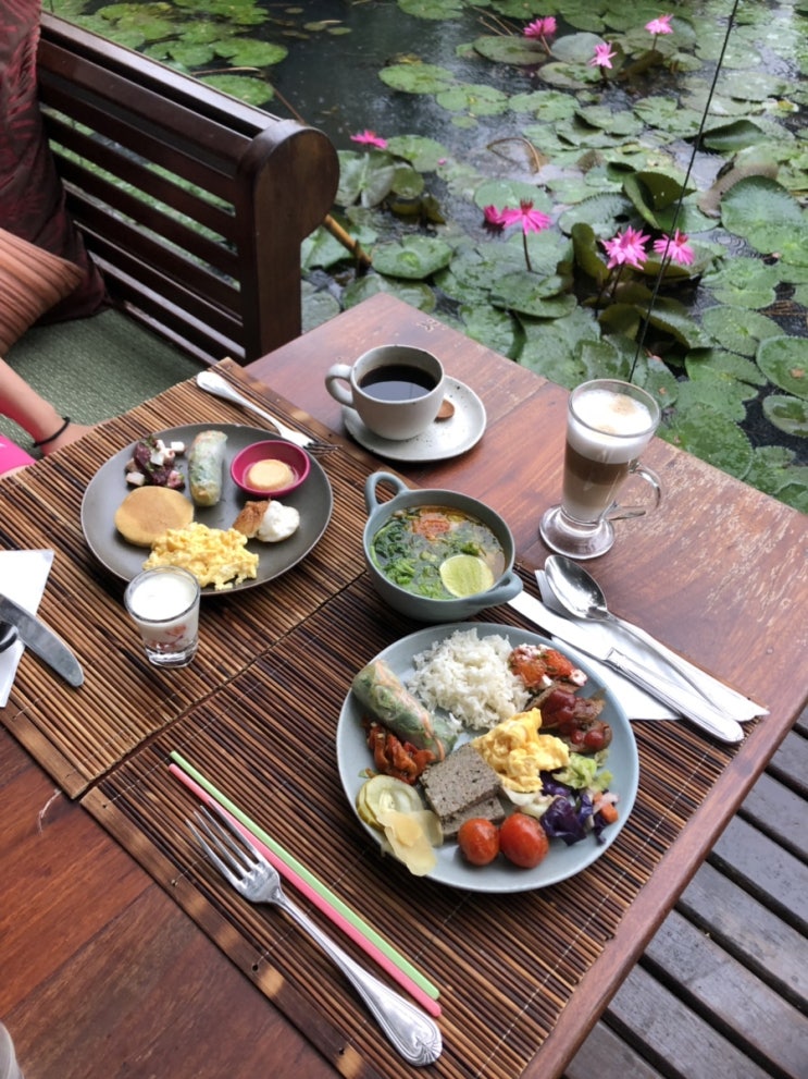  루앙프라방 메종달라부아 호텔(maison dalabua) 조식/수영장/룸 업그레이드까지 인생숙소 발견. 꼭  가세요!!!
