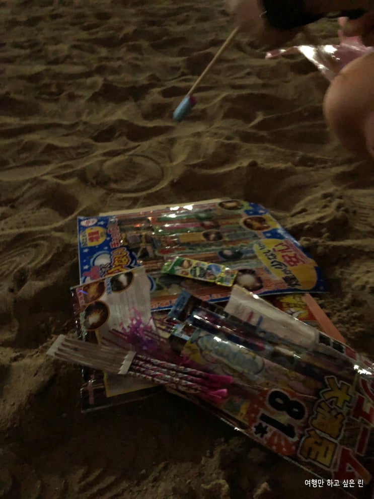  일본 후쿠오카 생활 D+637_ 노아랑 동생이 왔다!, 코스트코, 모모치에서 불꽃놀이