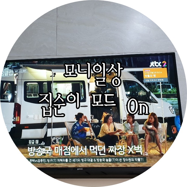  제주모니 일상 - 집순이 모드 On (feat.캠핑클럽,비긴어게인)